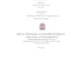do SEO articles and PDF